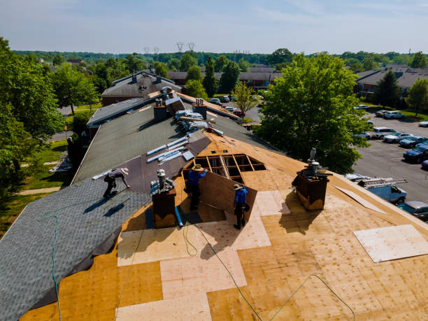 Roof Gutter Cleaning in Hilbert, WI