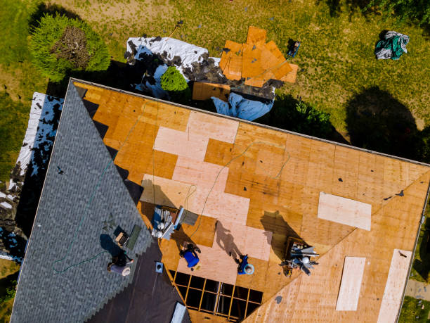 Best Commercial Roofing Services  in Hilbert, WI
