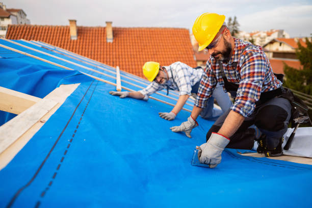 Best Shingle Roofing Installation  in Hilbert, WI