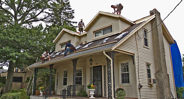 Best Roof Repair Services  in Hilbert, WI